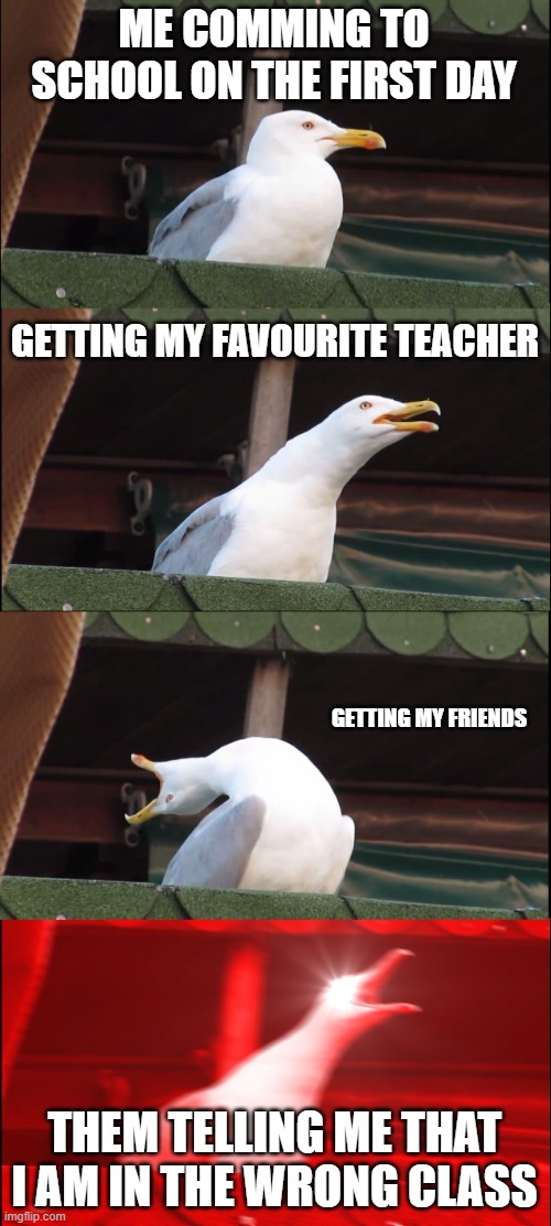 Inhaling Seagull | ME COMMING TO SCHOOL ON THE FIRST DAY; GETTING MY FAVOURITE TEACHER; GETTING MY FRIENDS; THEM TELLING ME THAT I AM IN THE WRONG CLASS | image tagged in memes,inhaling seagull | made w/ Imgflip meme maker