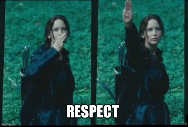 Hunger games  | RESPECT | image tagged in hunger games | made w/ Imgflip meme maker