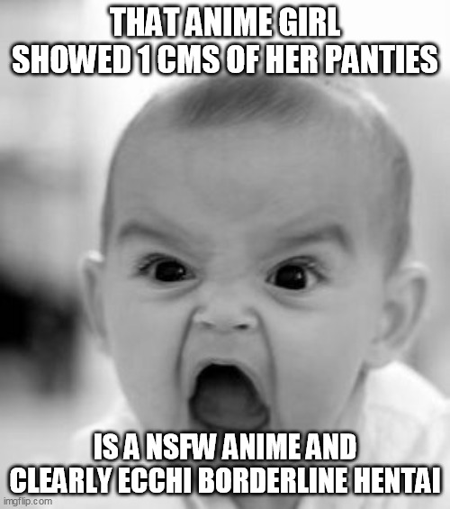 I got this idea when i saw someone complaining of the cover of Capcom vs SNK saying wasa NSFW | THAT ANIME GIRL SHOWED 1 CMS OF HER PANTIES; IS A NSFW ANIME AND CLEARLY ECCHI BORDERLINE HENTAI | image tagged in memes,angry baby | made w/ Imgflip meme maker
