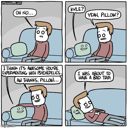 What a nice pillow, comment if you want one like this! | image tagged in comics,comics/cartoons,pillow,trip | made w/ Imgflip meme maker