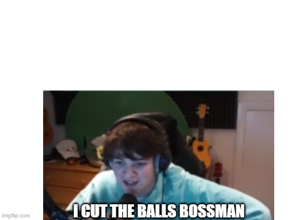 new meme format |  I CUT THE BALLS BOSSMAN | image tagged in memes,funny,dream smp | made w/ Imgflip meme maker