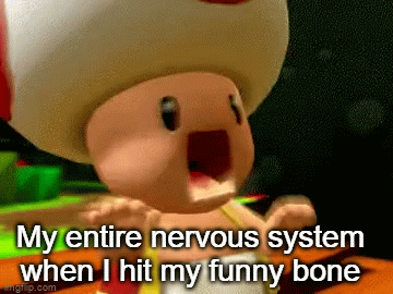 Screaming Nut Shell All you're pain in a nutshell : - Imgflip