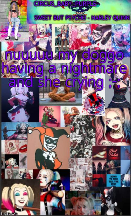 Harley Quinn temp bc why not | nuuuuu my doggo having a nightmare and she crying ;-; | image tagged in harley quinn temp bc why not | made w/ Imgflip meme maker
