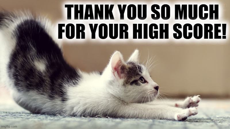 THANK YOU SO MUCH FOR YOUR HIGH SCORE! | made w/ Imgflip meme maker