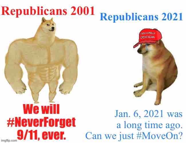 It really do be like that | image tagged in buff doge vs cheems,conservative logic,conservative hypocrisy,911 9/11 twin towers impact,terrorists,maga | made w/ Imgflip meme maker