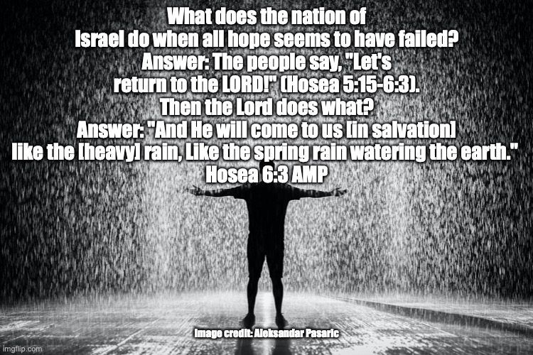 Return to the Lord! | What does the nation of Israel do when all hope seems to have failed?
Answer: The people say, "Let's return to the LORD!" (Hosea 5:15-6:3).
Then the Lord does what?
Answer: "And He will come to us [in salvation] like the [heavy] rain, Like the spring rain watering the earth." 
Hosea 6:3 AMP; Image credit: Aleksandar Pasaric | image tagged in salvation,holy spirit,the lord,repentance,forgiveness | made w/ Imgflip meme maker