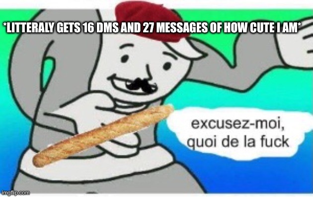 french wtf | *LITTERALY GETS 16 DMS AND 27 MESSAGES OF HOW CUTE I AM* | image tagged in french wtf | made w/ Imgflip meme maker