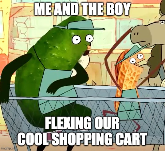 cool meme | ME AND THE BOY; FLEXING OUR COOL SHOPPING CART | image tagged in idk | made w/ Imgflip meme maker