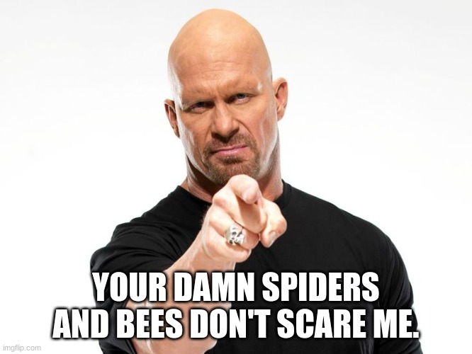 Bald tough guy pointing at you | YOUR DAMN SPIDERS AND BEES DON'T SCARE ME. | image tagged in bald tough guy pointing at you | made w/ Imgflip meme maker