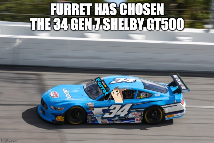 FURRET HAS CHOSEN THE 34 GEN 7 SHELBY GT500; Furret | image tagged in nascar,furret,nmcs,ill find another stream | made w/ Imgflip meme maker