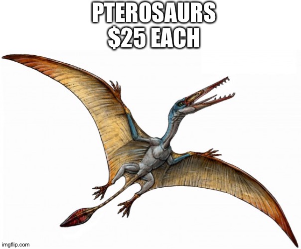 Comes with free heretic-destroying laser attachment installeed on head | PTEROSAURS
$25 EACH | image tagged in memes | made w/ Imgflip meme maker