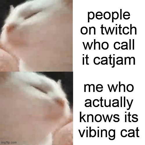 please no hate | people on twitch who call it catjam; me who actually knows its vibing cat | image tagged in drake hotline bling,cat,cats,vibing cat,twitch | made w/ Imgflip meme maker