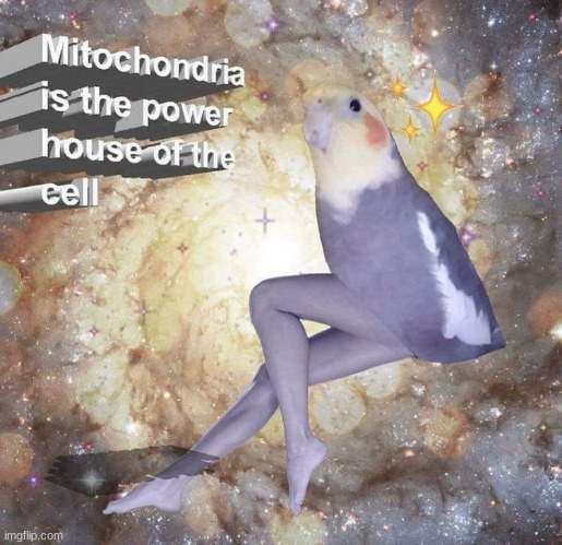 e | made w/ Imgflip meme maker