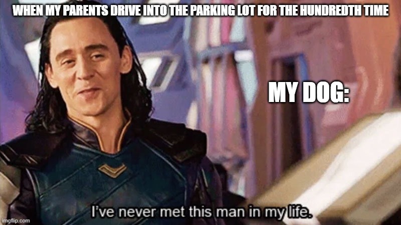 bro this happens ALL the time | WHEN MY PARENTS DRIVE INTO THE PARKING LOT FOR THE HUNDREDTH TIME; MY DOG: | image tagged in i have never met this man in my life,comedy,dumb | made w/ Imgflip meme maker