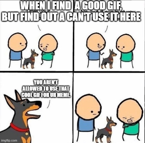 does your dog bite | WHEN I FIND  A GOOD GIF, BUT FIND OUT A CAN'T USE IT HERE YOU AREN'T ALLOWED TO USE THAT COOL GIF FOR UR MEME. | image tagged in does your dog bite | made w/ Imgflip meme maker