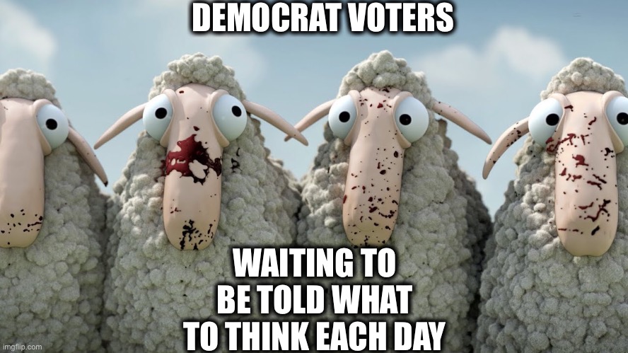 Idiots | DEMOCRAT VOTERS; WAITING TO BE TOLD WHAT TO THINK EACH DAY | image tagged in democrats,mainstream media,millennials,gen z,memes,social media | made w/ Imgflip meme maker