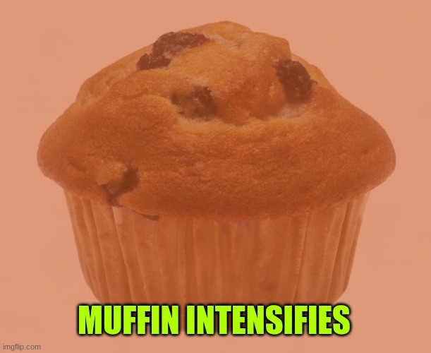 MUFFIN INTENSIFIES | image tagged in muffins | made w/ Imgflip meme maker