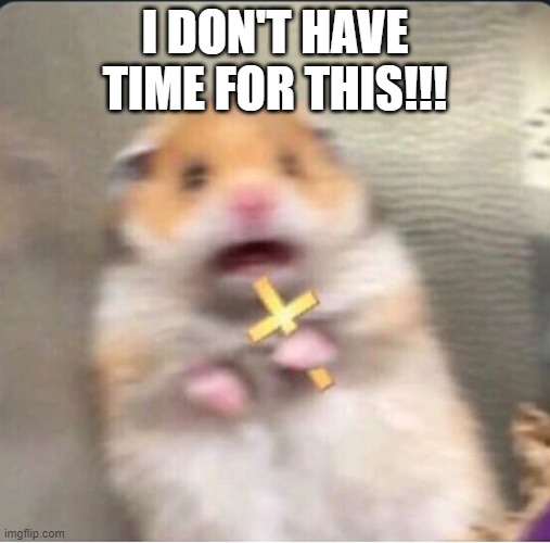 shook christian hamster | I DON'T HAVE TIME FOR THIS!!! | image tagged in shook christian hamster | made w/ Imgflip meme maker