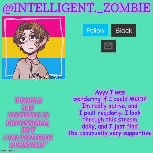 Pan info temp | Ayyy I was wondering if I could MOD? Im really active, and I post reqularly. I look through this stream daily, and I just find the community very supportive | image tagged in pan info temp | made w/ Imgflip meme maker