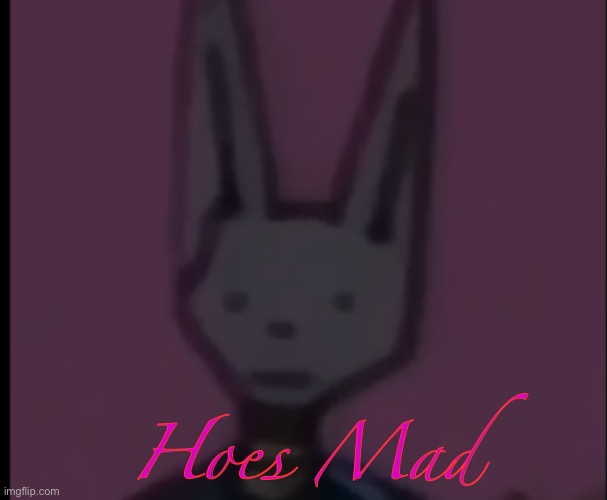 Lowest Quality Beerus | Hoes Mad | image tagged in lowest quality beerus | made w/ Imgflip meme maker