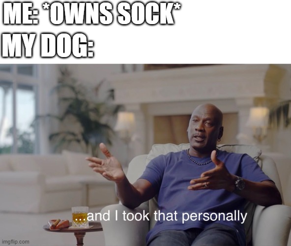 My dog and socks | ME: *OWNS SOCK*; MY DOG: | image tagged in and i took that personally | made w/ Imgflip meme maker