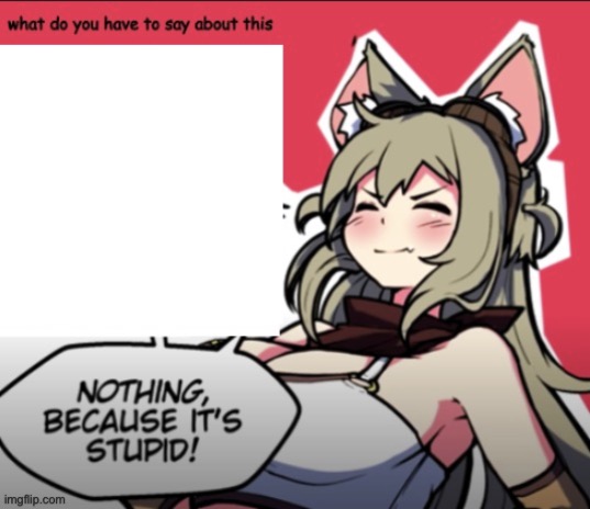 image tagged in because it's stupid | made w/ Imgflip meme maker