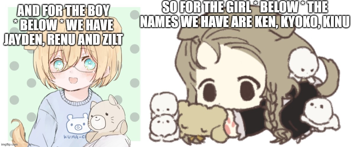 look in comments | SO FOR THE GIRL * BELOW * THE NAMES WE HAVE ARE KEN, KYOKO, KINU; AND FOR THE BOY * BELOW * WE HAVE JAYDEN, RENU AND ZILT | made w/ Imgflip meme maker