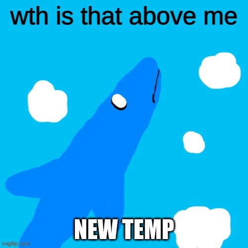 Aircraft Shark wth is that above me | NEW TEMP | image tagged in aircraft shark wth is that above me | made w/ Imgflip meme maker