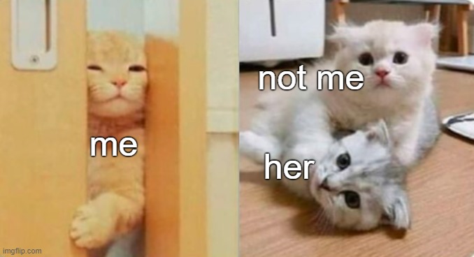 . | not me; me; her | made w/ Imgflip meme maker