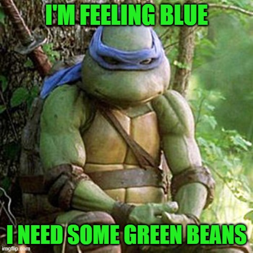 Sad Ninja Turtle | I'M FEELING BLUE; I NEED SOME GREEN BEANS | image tagged in sad ninja turtle | made w/ Imgflip meme maker
