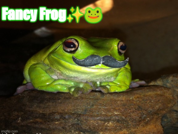Fancy ? | Fancy Frog✨🐸 | image tagged in frogs | made w/ Imgflip meme maker