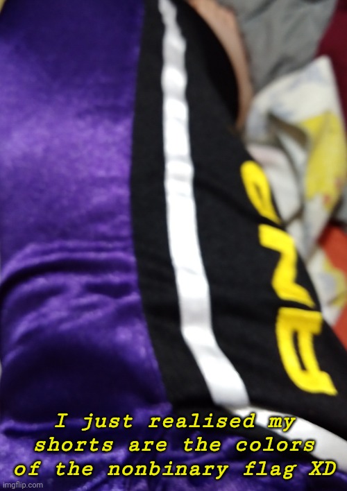 E | I just realised my shorts are the colors of the nonbinary flag XD | image tagged in glzglxgldl | made w/ Imgflip meme maker