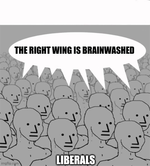 NPCProgramScreed | THE RIGHT WING IS BRAINWASHED LIBERALS | image tagged in npcprogramscreed | made w/ Imgflip meme maker