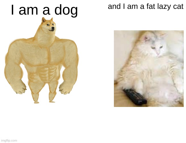 Buff Doge vs. Cheems Meme | I am a dog; and I am a fat lazy cat | image tagged in memes,buff doge vs cheems | made w/ Imgflip meme maker