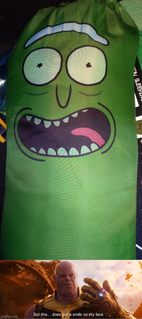 My pickle rick sleepling bag (yes i own this) | image tagged in but this does put a smile on my face | made w/ Imgflip meme maker