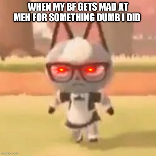 Mad raymond | WHEN MY BF GETS MAD AT MEH FOR SOMETHING DUMB I DID | image tagged in raymond,cat,the bf's plan,funny meme | made w/ Imgflip meme maker