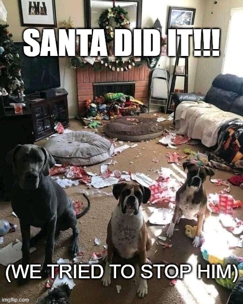 Santa did it | SANTA DID IT!!! (WE TRIED TO STOP HIM) | image tagged in dogs,santa,christmas | made w/ Imgflip meme maker