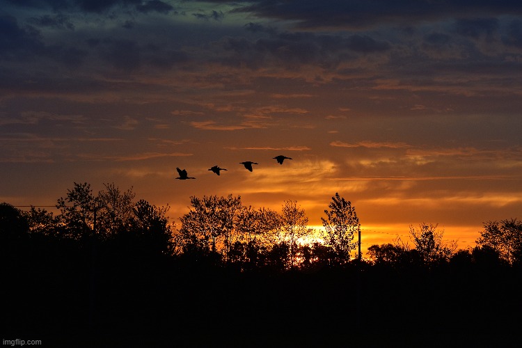 this morning! | made w/ Imgflip meme maker