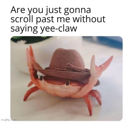 A R E Y O U ? | image tagged in yee-claw | made w/ Imgflip meme maker