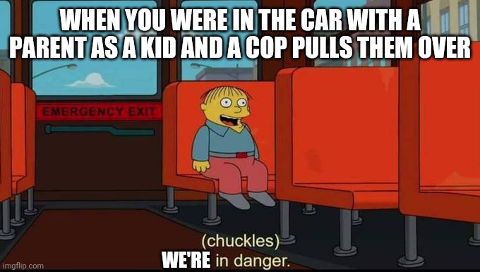 Truth? No? | WHEN YOU WERE IN THE CAR WITH A PARENT AS A KID AND A COP PULLS THEM OVER; WE'RE | image tagged in im in danger,cops,pulled over,driving,kids,parents | made w/ Imgflip meme maker