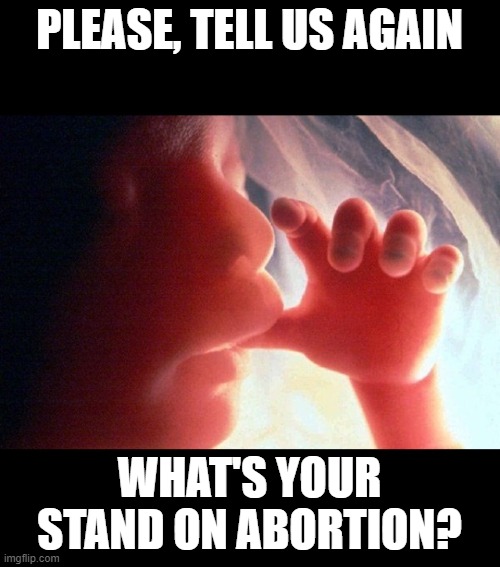 Abortion | PLEASE, TELL US AGAIN WHAT'S YOUR STAND ON ABORTION? | image tagged in abortion | made w/ Imgflip meme maker