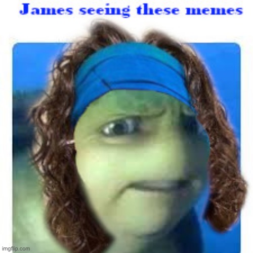 If James sees these | image tagged in james,turtle,dolphin,dick,if you know you know,inside joke | made w/ Imgflip meme maker