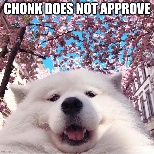 chonker | CHONK DOES NOT APPROVE | image tagged in chonker | made w/ Imgflip meme maker