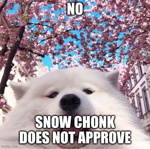 chonker | NO SNOW CHONK DOES NOT APPROVE | image tagged in chonker | made w/ Imgflip meme maker