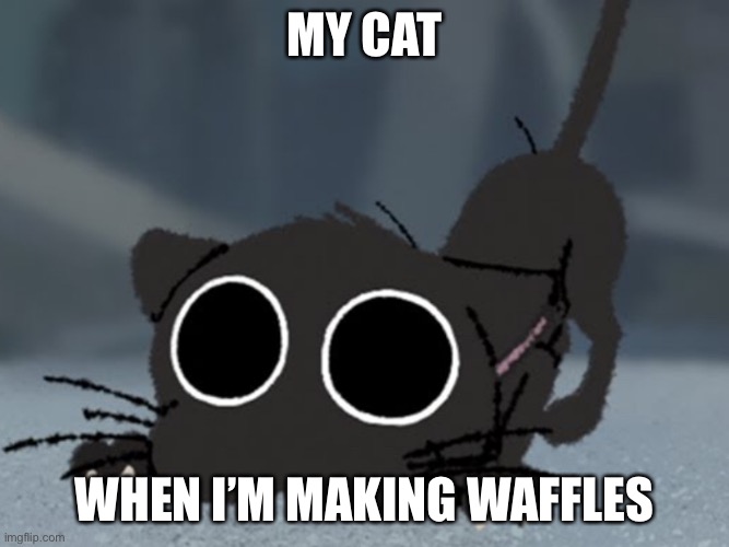 MY CAT WHEN I’M MAKING WAFFLES | image tagged in kitbull big eyes | made w/ Imgflip meme maker