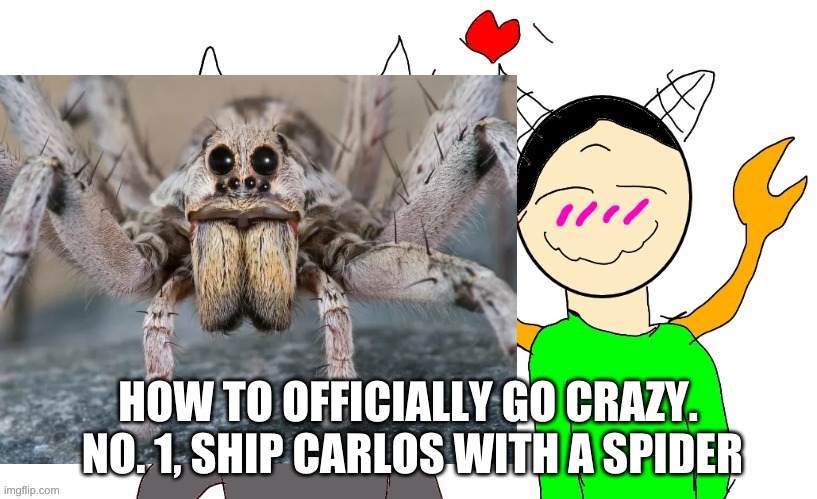 OH BOY HERE I GO CRAZY | HOW TO OFFICIALLY GO CRAZY.  NO. 1, SHIP CARLOS WITH A SPIDER | image tagged in yes,i am crazy,and was bored,lost my mind | made w/ Imgflip meme maker