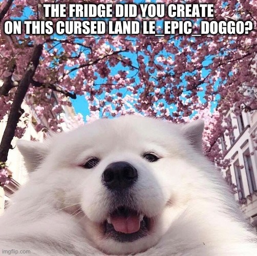 chonker | THE FRIDGE DID YOU CREATE ON THIS CURSED LAND LE_EPIC_DOGGO? | image tagged in chonker | made w/ Imgflip meme maker