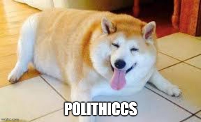 Thicc Doggo | POLITHICCS | image tagged in thicc doggo | made w/ Imgflip meme maker