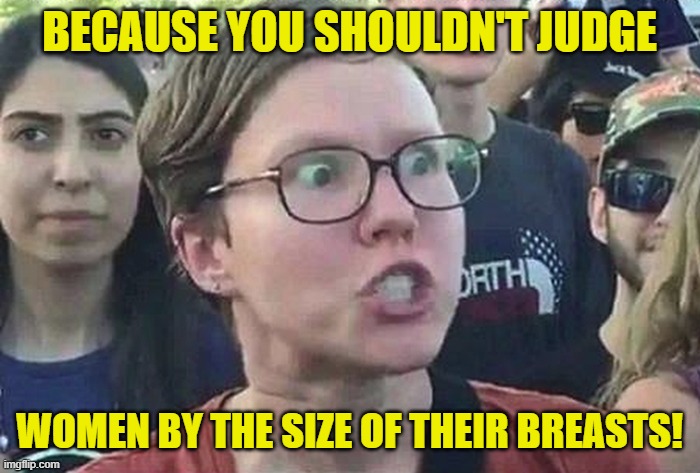 Triggered Liberal | BECAUSE YOU SHOULDN'T JUDGE WOMEN BY THE SIZE OF THEIR BREASTS! | image tagged in triggered liberal | made w/ Imgflip meme maker