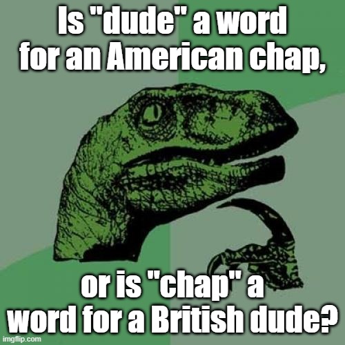 mirror mirror | Is "dude" a word for an American chap, or is "chap" a word for a British dude? | image tagged in philosoraptor,language,slang | made w/ Imgflip meme maker